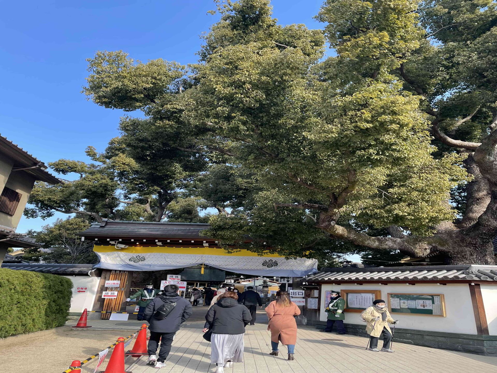 行ってきました‼︎