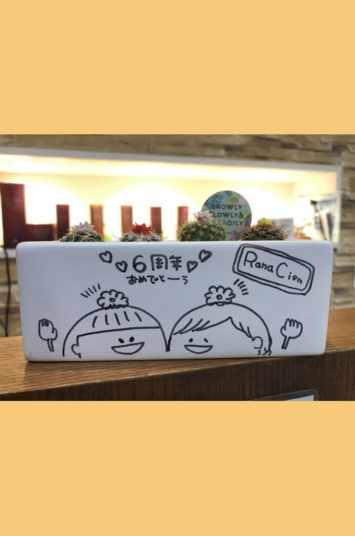 サボテン