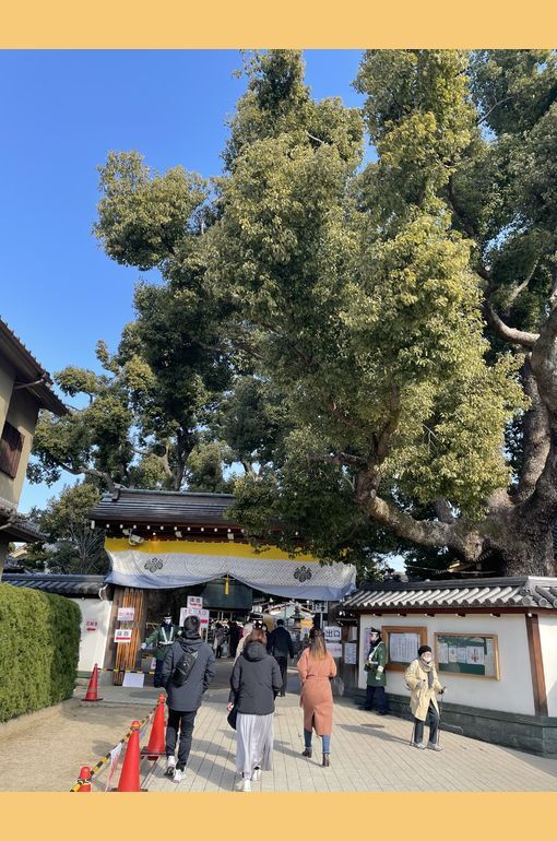 行ってきました‼︎